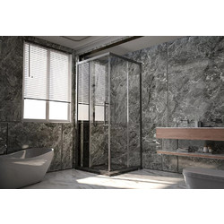 Душевой уголок Veconi Premium Trento PTC-20GR 100x80