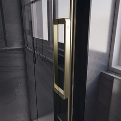 Душевая дверь Veconi Premium Trento PTD-40G 150x200