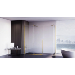 Душевой уголок Veconi Premium Trento PTC-SP-50G 100x100