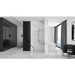 Душевая перегородка Rea Aero N REA-K7552 80x195