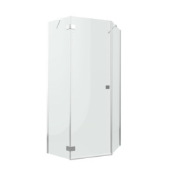 Душевой уголок Radaway Essenza PTJ 100x100 L