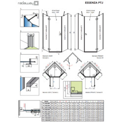 Душевой уголок Radaway Essenza PTJ 100x100 L