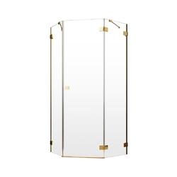 Душевой уголок Radaway Essenza Pro Gold PTJ 80х80 R