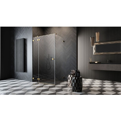 Душевой уголок Radaway Essenza Pro Gold KDJ 110х90 L