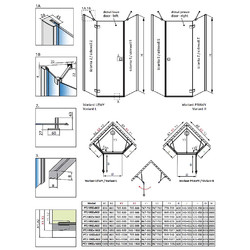 Душевой уголок Radaway Essenza Black PTJ 100х100 L