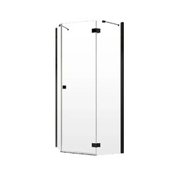 Душевой уголок Radaway Essenza Black PTJ 100х100 R