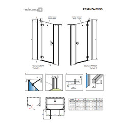 Душевая дверь Radaway Essenza Black DWJS 110 L