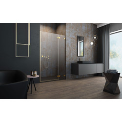 Душевая дверь Radaway Essenza Pro Gold DWJ 110 R