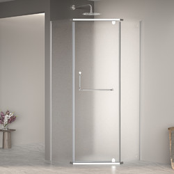 Душевой уголок RGW Passage PA-081 100х100, стекло матовое