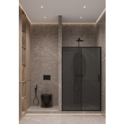 Душевая дверь Timo TD-120/03GR-6 195x120