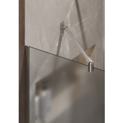 Душевая перегородка Timo TP-1190/00F-8 195x119