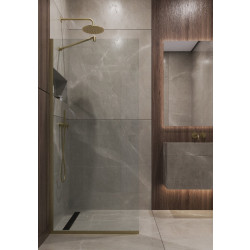 Душевая перегородка Timo TP-1190/17C-8 195x119