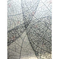 Душевой уголок AvaCan HB120MT 120x120