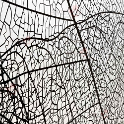 Душевая перегородка AvaCan MB100 100x200