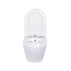 Комплект инсталляции и унитаза 6 в 1 Roxen StounFix Dual Fresh 966617