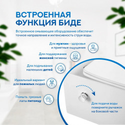 Комплект инсталляции Amore di Mare QuickFit 50114 с унитазом Garda Bidet P310-X, кнопка 303CH