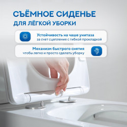 Унитаз напольный Amore di Mare Tronto Bidet N900-X, с крышкой дюропласт SoftClose