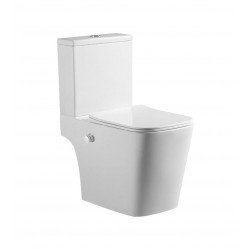 Унитаз напольный Amore di Mare Tronto Bidet N900-X, с крышкой дюропласт SoftClose