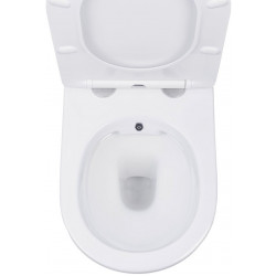 Унитаз подвесной Amore di Mare Delio Bidet P203-X, с крышкой дюропласт SoftClose
