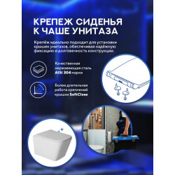 Унитаз подвесной Amore di Mare Tassaro Tornado P202-T, с крышкой дюропласт SoftClose