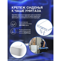 Комплект инсталляции Amore di Mare QuickFit 50114 с унитазом Temo P322, кнопка 303G