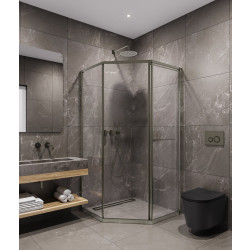 Душевой уголок Timo TTSS-100/13C-8R 100x100