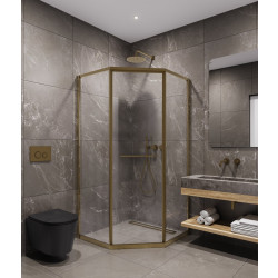 Душевой уголок Timo TTSS-100/17C-8L 100x100