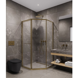 Душевой уголок Timo TTSS-100/17C-8L 100x100