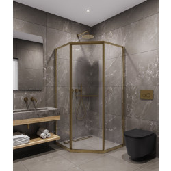 Душевой уголок Timo TTSS-100/17C-8R 100x100