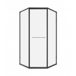 Душевой уголок Timo TTSS-100/03C-8L 100x100