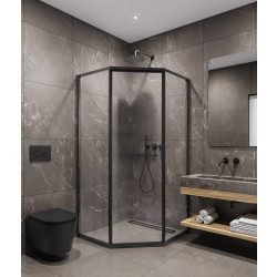 Душевой уголок Timo TTSS-100/03C-8L 100x100
