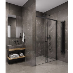 Душевая дверь Timo TDSS-120/03C-8L 120x200