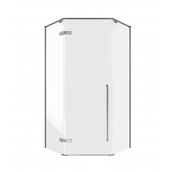 Душевой уголок Timo TTSSP-100/13C-8 100x100