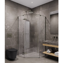 Душевой уголок Timo TTSSP-100/13C-8 100x100