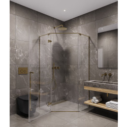 Душевой уголок Timo TTSSP-100/17C-8 100x100