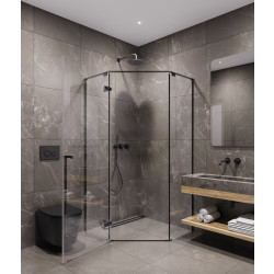 Душевой уголок Timo TTSSP-100/03C-8 100x100