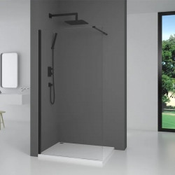 Душевая перегородка Parly T100B 100x190