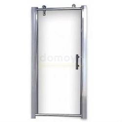 Душевая дверь Appollo TS-0509 L/R 100