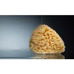 Душевая шторка для ванны RGW SC-82 (SC-42+Z-52) 170Х80 стекло шиншилла