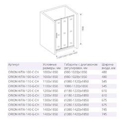 Душевая дверь Good Door ORION WTW-120-C-CH