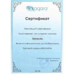 Душевой уголок Niagara NG-110011-14 100x100