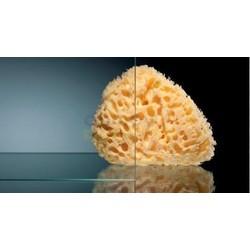 Душевая шторка BELBAGNO SELA-V-11-120/140-C-Cr 120х140