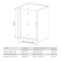 Душевая дверь Good Door MOKKA DR-100-C-WE