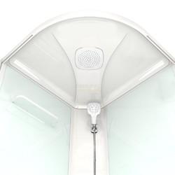 Душевая кабина Domani-Spa Delight 99 90х90 прозрачная/черная