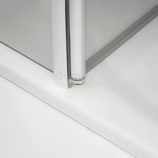 Душевая дверь ROTH (Roltechnik) TCN2/120 печатный узор/матовое серебро