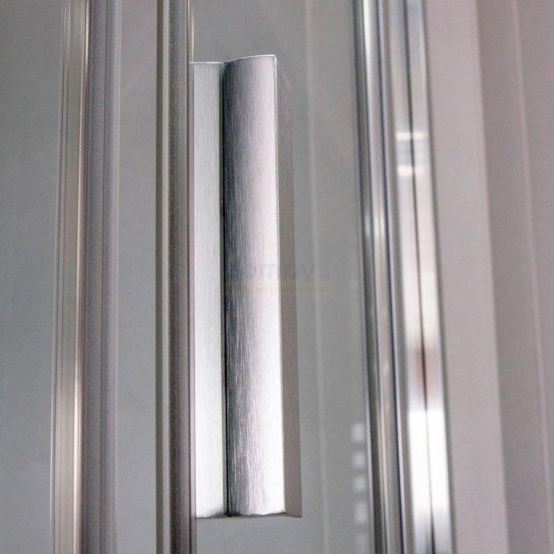 Душевая дверь ROTH (Roltechnik) TCN1/ 100 печатный узор/матовое серебро
