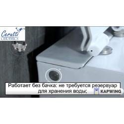 Приставной унитаз Cerutti Barbaria Black B-376B/B 35x60 с импульсным смывом SoftClose черный