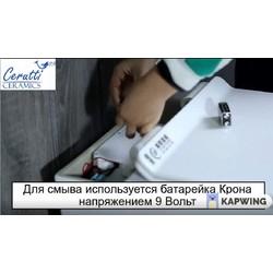 Приставной унитаз Cerutti Barbaria Black B-376B/B 35x60 с импульсным смывом SoftClose черный