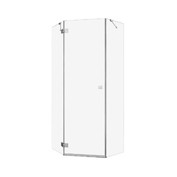 Душевой уголок Radaway Essenza Pro PTJ 100х90 L