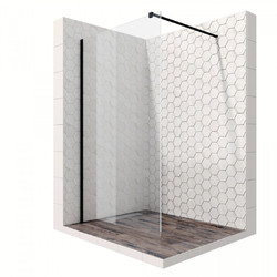 Душевая перегородка Ambassador Walk-in 15031112 120х200